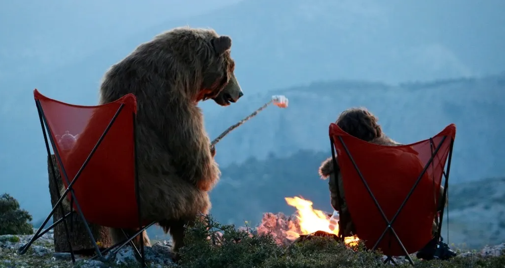 Things to Consider When Choosing Bear Costume