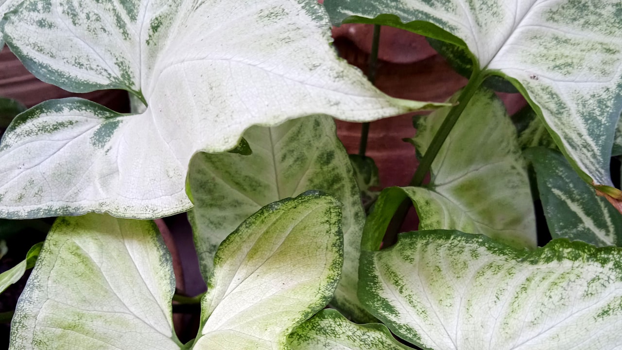 4 UWELL Caliburn G Device Issues You May Experience and How to Fix Them