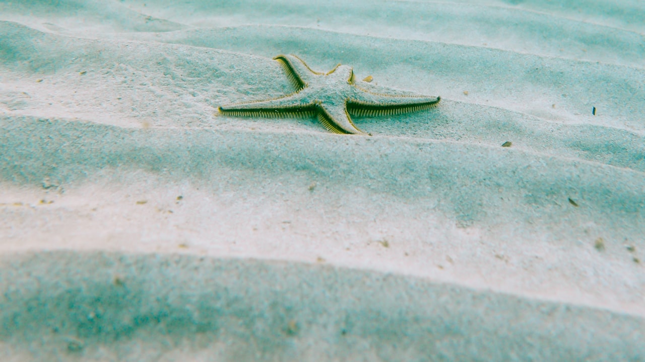 Get The Most Out of Your Summer Holidays With Reusable Water Balloons