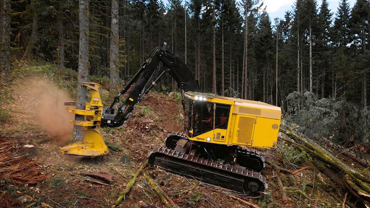 JYF Machinery Feller Buncher Cutting Teeth for Fast and Clean Tree Cutting